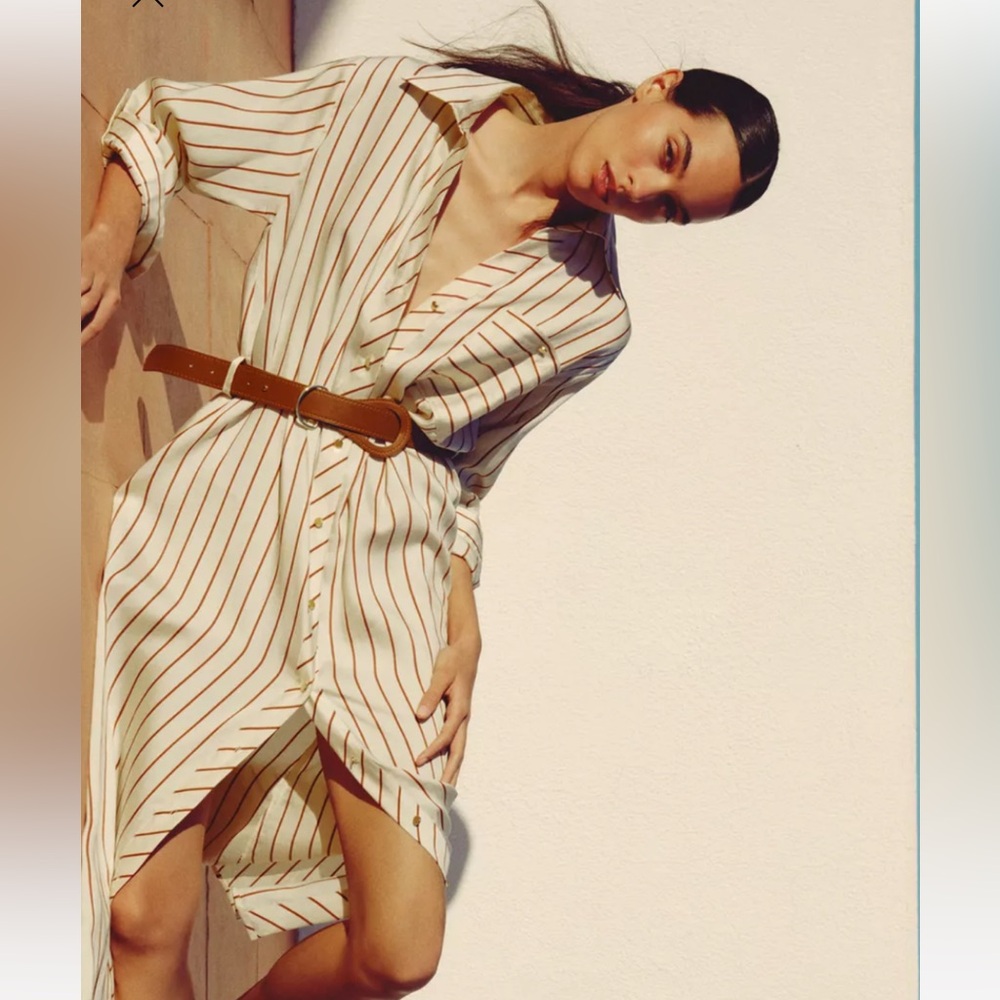 Zara Cream and Brown Striped Dress